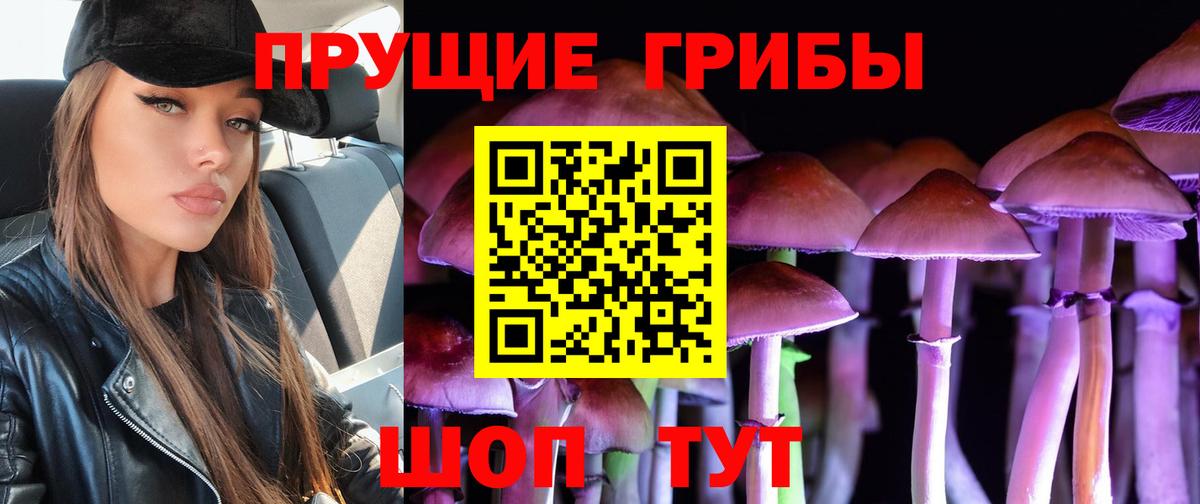 Апрелевка  Псилоцибиновые грибы MAGIC MUSHROOMS  Галлюциногенные грибы Psilocybine cubensis  Вход с VPN 